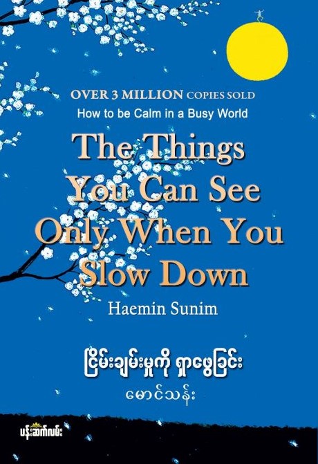 ငြိမ်းချမ်းမှုကို ရှာဖွေခြင်း book cover