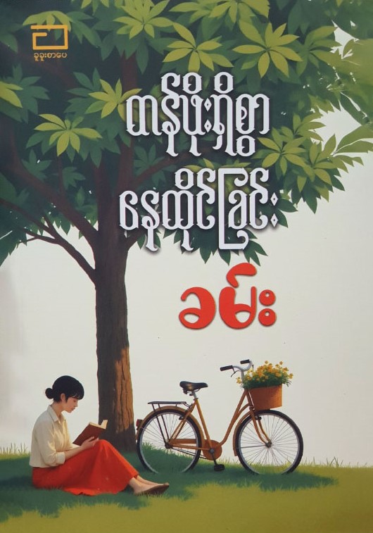 တန်ဖိုးရှိစွာနေထိုင်ခြင်း book cover