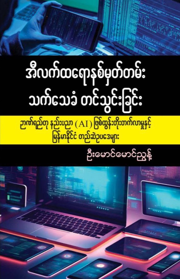 အီလက်ထရောနစ်မှတ်တမ်း သက်သေခံတင်သွင်းခြင်း book cover
