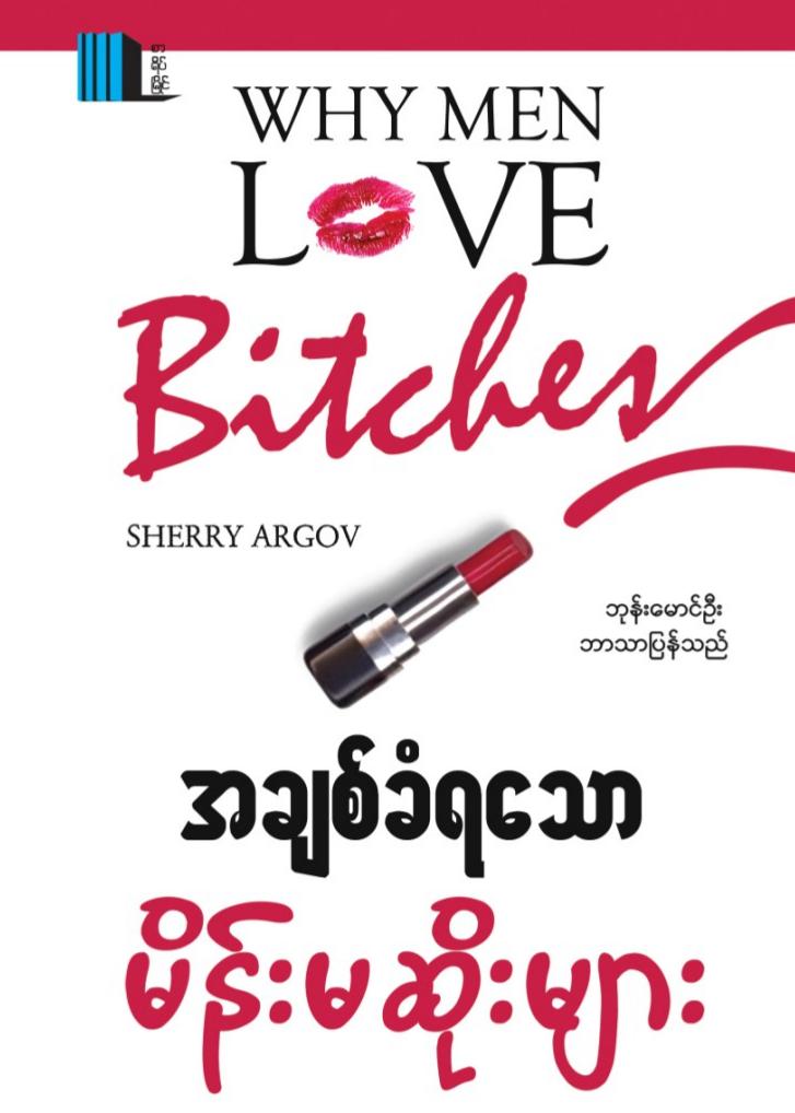 အချစ်ခံရသောမိန်းမဆိုးများ book cover