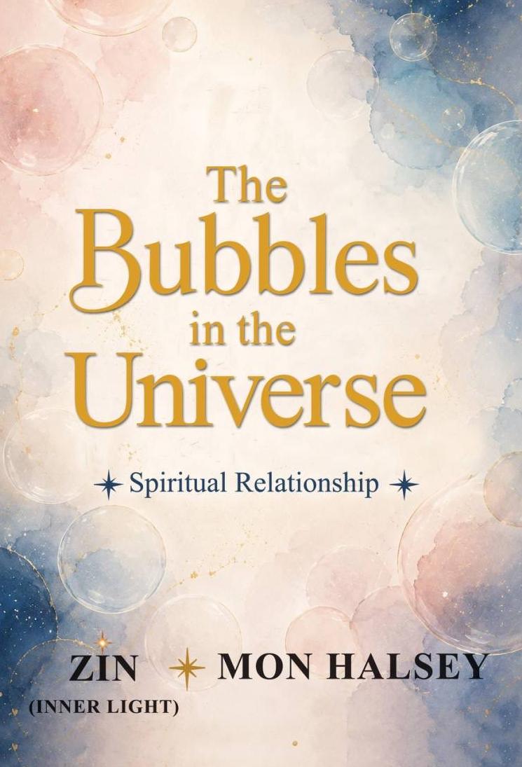 The Bubbles In The Universe book cover